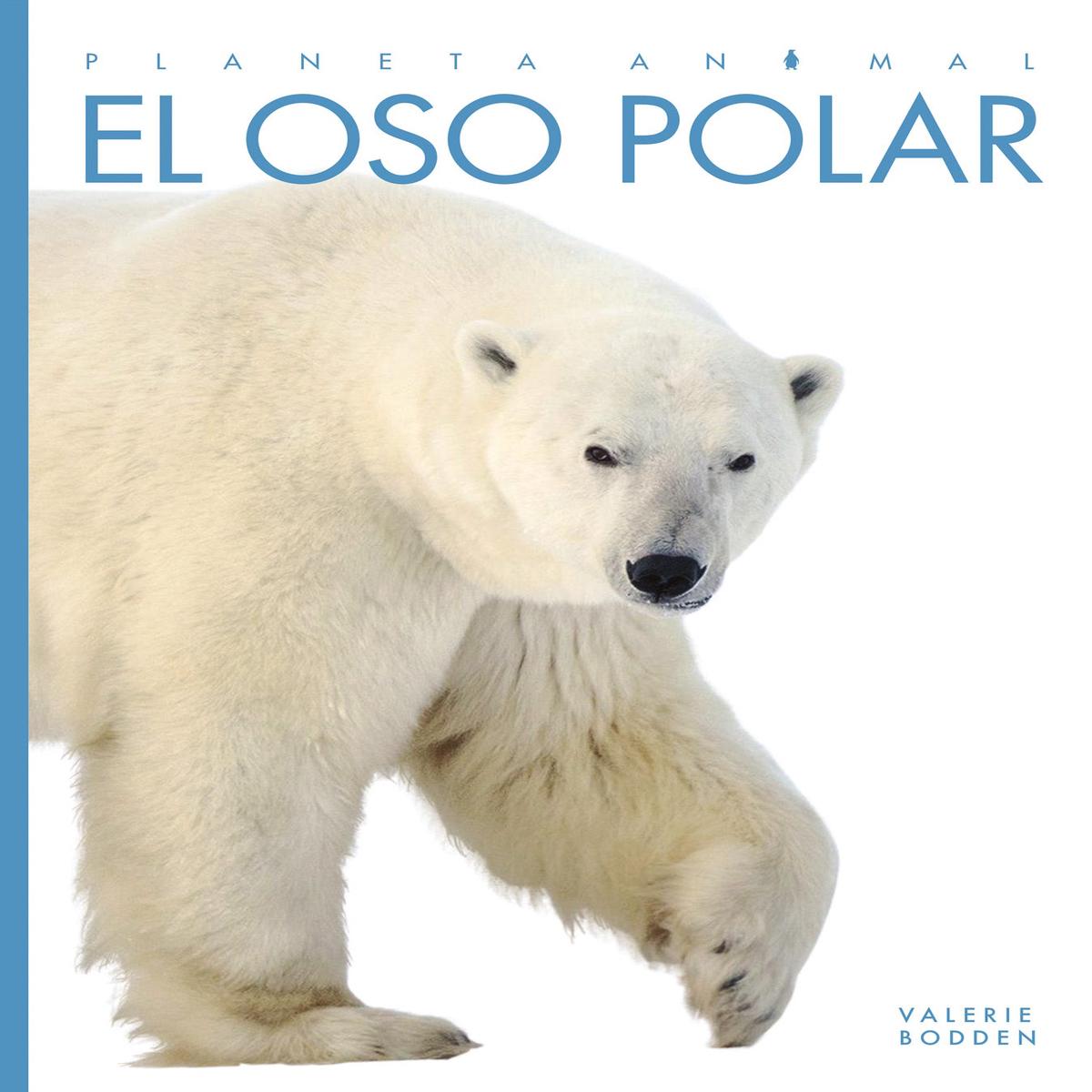 El oso polar