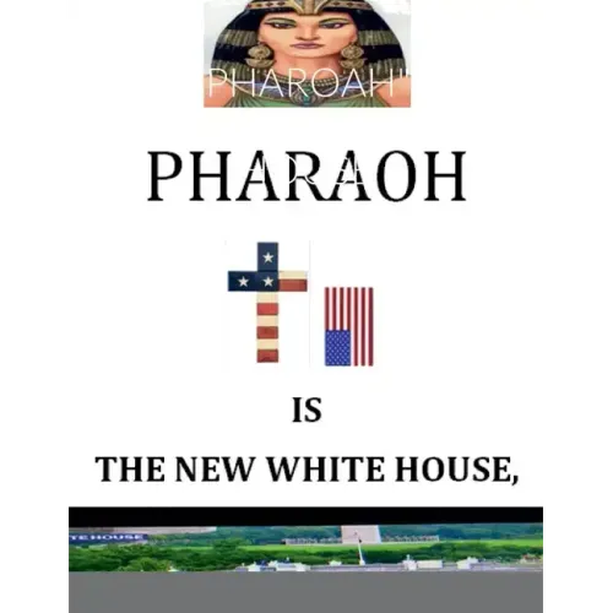 'Pharoah' Is the New White House: BY: Nelson Norman, Writer - Paperback